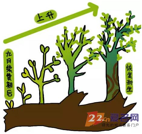 9月，米市高潮到来。