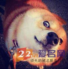 先定个小目标，今年投资域名挣王健林一个亿！