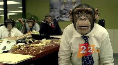 微信小程序迎来巨大商机？  可是没域名一切都白搭！