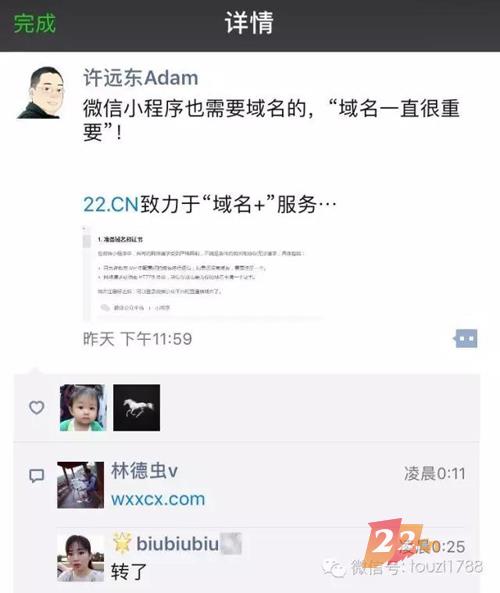 微信小程序迎来巨大商机？  可是没域名一切都白搭！