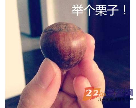 五千多万注册费?上百亿市值?这就是中国米农的力量!